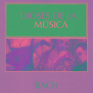 Violin Concerto in A Minor, BWV 1041: I. Ohne bezeichnung