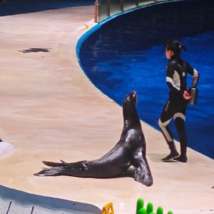 Idontk-MOMENTO FEVER（5209OIX remix）