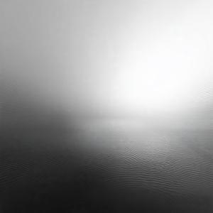 Quiescent