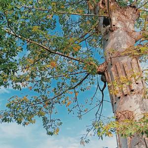 等光落，陪你去远方