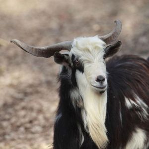 污水prod.Yn1Jasper