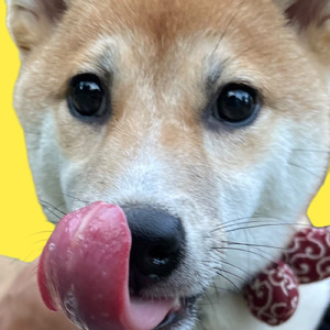 波濤