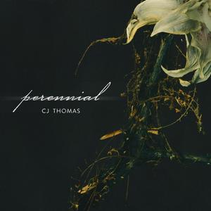 Perennial