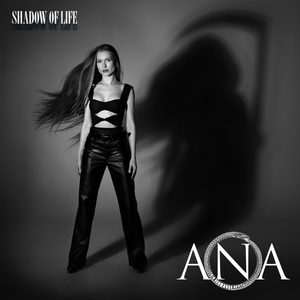 Shadow Of Life