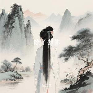 除了想你 (Remix)