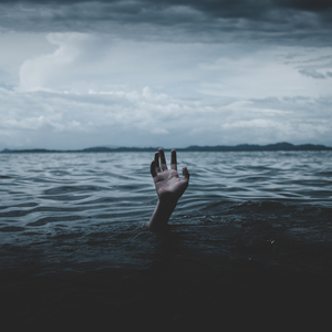 Zimmedari (original)