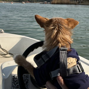 我想在五点结束工作