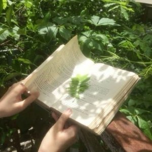 岁月悠悠走过春秋冬夏