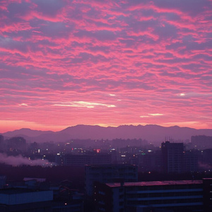 夏の夕方