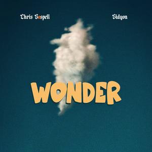 Wonder (feat. GIDYON)