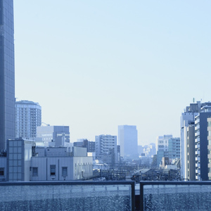 君を失った僕は君を忘れられない