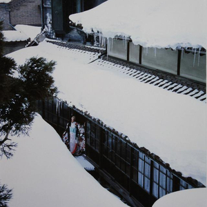 冬