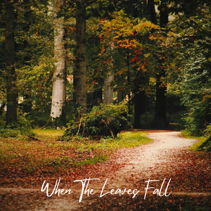 When The Leaves Fall
