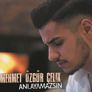 Anlayamazsın (Sallama)