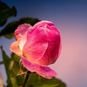 Girl Girl Girl！（Prod by Rick1y&IOF）