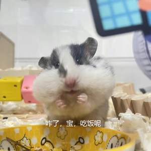 心中燃烧着希望