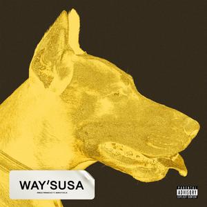 Way'susa (feat. Mavuthela)