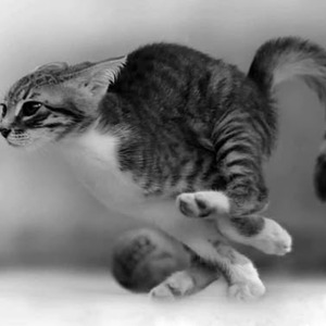 All I Wanna Do (slowed)