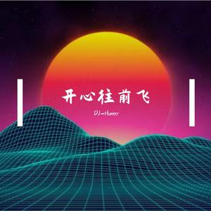 杨菲洋 / VIVI-开心往前飞（DJ-Hunter remix）