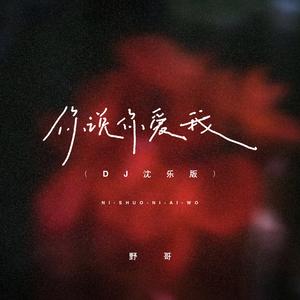 你说你爱我 (DJ沈乐版)