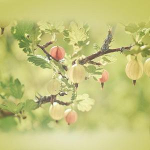 만성 피로회복을 위한 명상 (개울가 소리 백색소음)