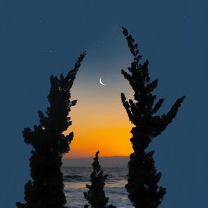 生活就像没有终点的过山车