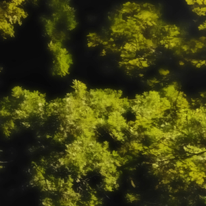 A Substitute For Eden IV