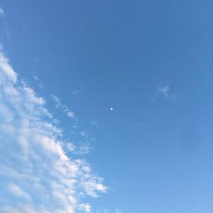 还在期待什么（prod.by MORROW)