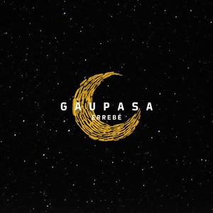 Gaupasa