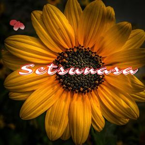 Setsunasa