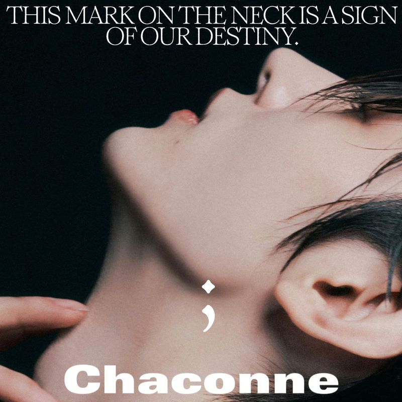Chaconne(coverENHYPEN)封面
