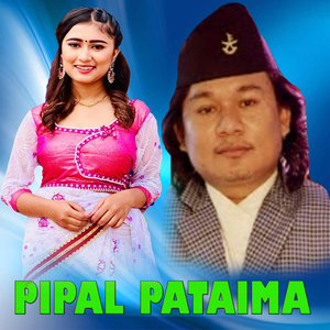 PIPAL PATAIMA
