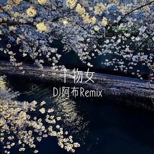 干物女 DJ阿布版
