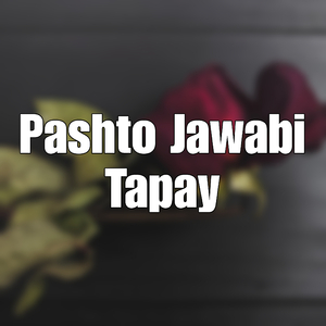 Pashto Jawabi Tapay