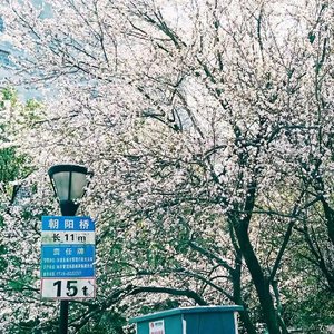 四月、雨人愚