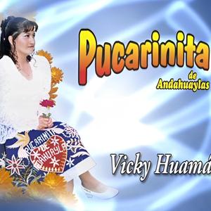 Acaso Para Que Me Quieras - Pucarinita De Andahuaylas (Radio Edit)