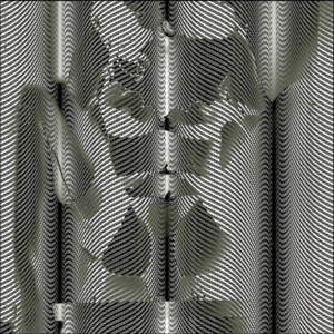 Kiss The Pretty Ones Goodbye