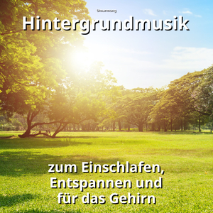 Achtsamkeitsübungen in der Flora