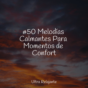 Calma & Relajación