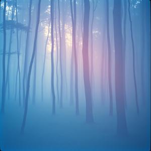 Astaroth (Harp Cover) by @ai_hit_collective