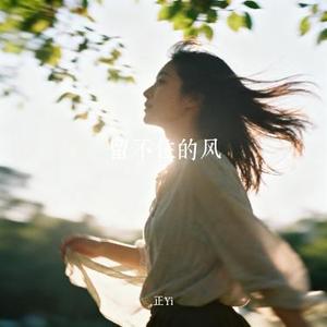 留不住的风