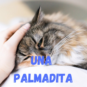 Una Palmadita