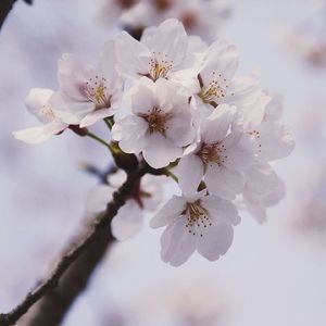 悲伤的回忆 伴奏