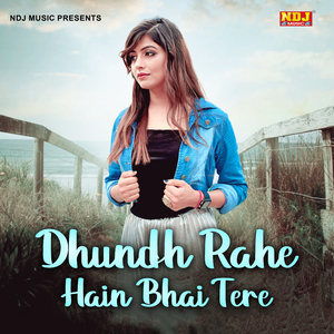 Dhundh Rahe Hain Bhai Tere