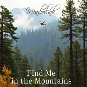 Find Me in the Mountains