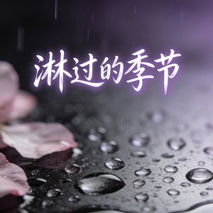 淋过 的季节