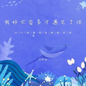 我好不容易才遇见了你