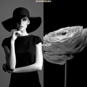 学习安静的爵士