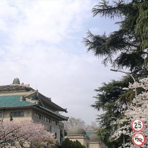 安和桥（温柔系）