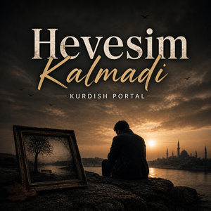 Hevesim Kalmadı
